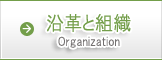 沿革と組織